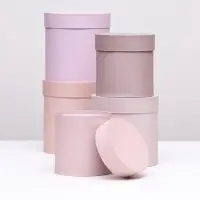 Набор шляпных подарочных коробок 5 в 1 &laquo;Пудра&raquo;,20&times;20&times;20‒13.5&times;13.5&times;13.5 см