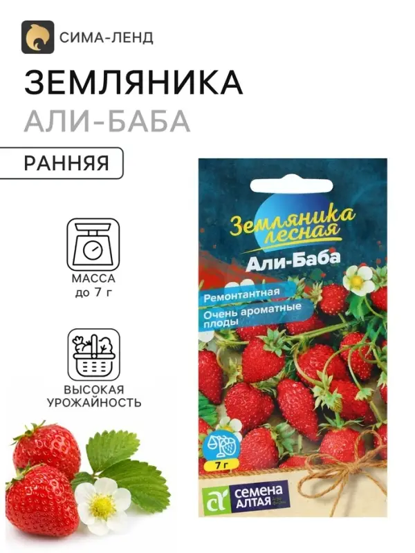 Семена Земляника &laquo;Али-Баба&raquo;, ремонтантная, 0.03 г, &laquo;Семена Алтая&raquo;