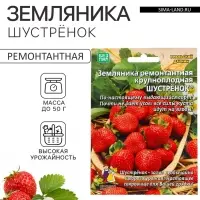 Семена Земляника &laquo;Шустрёнок&raquo;, 10 шт., ремонтантная, крупноплодная, &laquo;Уральский дачник&raquo;