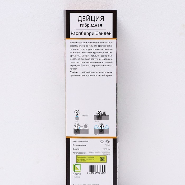 Дейция гибридная (Серия Патио) Люкс «Распберри Сандей», саженец декоративный, цветущий, 1 шт., туба Дейция гибридная (Серия Патио) Люкс «Распберри Сандей», саженец декоративный, цветущий, 1 шт., туба