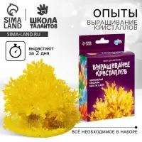 Выращивание кристаллов &laquo;Опыты. Лучистый кристалл&raquo;, цвет жёлтый