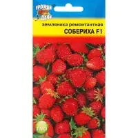 Семена Земляника "Собериха", F1, 5 шт Семена Земляника "Собериха", F1, 5 шт