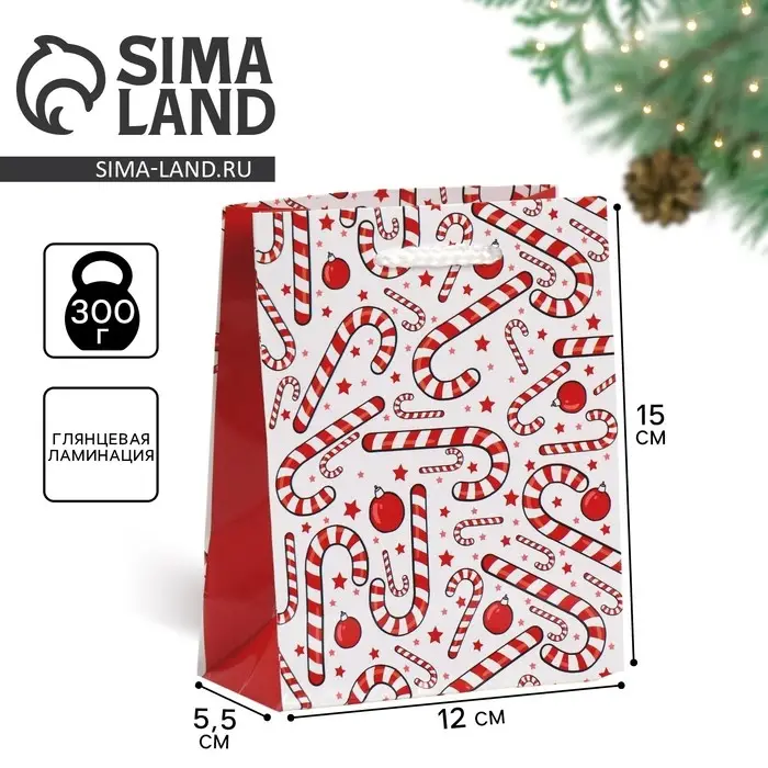 Пакет подарочный новогодний ламинированный «Зимняя история», S 12 х 15 х 5.5 см Пакет подарочный новогодний ламинированный «Зимняя история», S 12 х 15 х 5.5 см