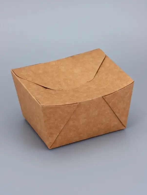 Контейнер одноразовый, коробка пищевая, для лапши, 600 мл, 11&times;9&times;7.3 см