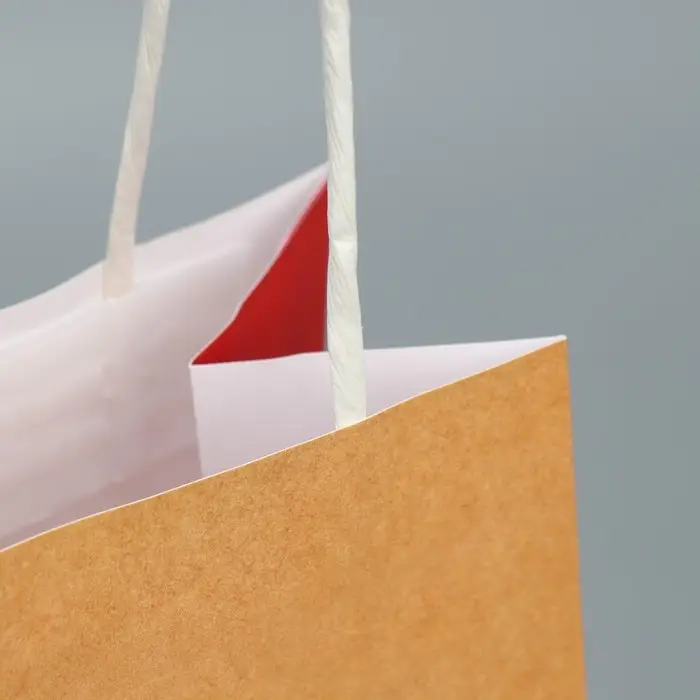 Пакет подарочный крафтовый, упаковка, «Душнила», 12 х 21 х 9 см