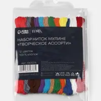 Нитки мулине TEIRA &laquo;Сочный&raquo;, 8&plusmn;1 м, 12 шт., разноцветные