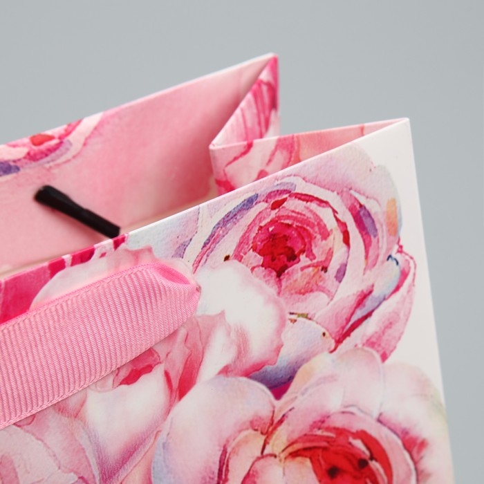 Пакет подарочный ламинированный горизонтальный, упаковка, «Счастье ждёт тебя» 22 х 17,5 х 8 см