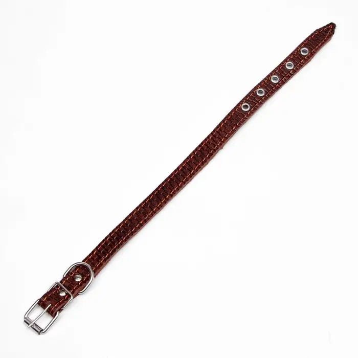 Ошейник кожаный с тиснением на синтепоне, 46&times;2 см, ОШ 25-35 см, коричневый