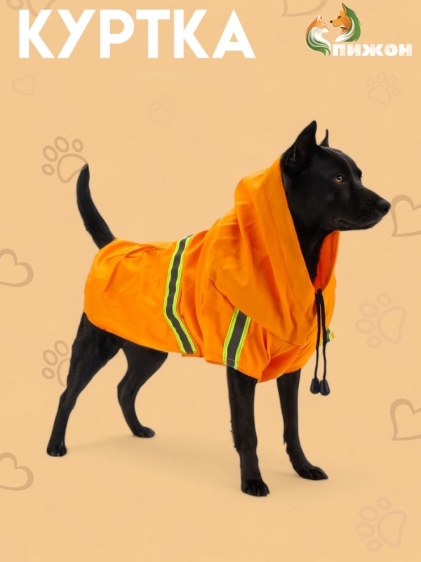 Куртка для собак с подкладом, размер S  (ДС 25, ОГ 34 см, вес 2-4 кг), оранжевая
