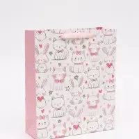 Пакет подарочный «Поздравляю», M 25,5 × 30 × 9 см Пакет подарочный «Поздравляю», M 25,5 × 30 × 9 см