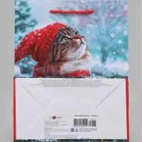 Пакет подарочный &laquo;Котик в красной шапке&raquo;, 18&times;10&times;22.3 см