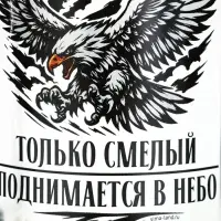 Кружка стеклянная пивная &laquo;Орёл&raquo;, 500 мл