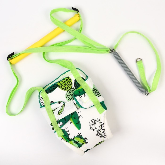 Прыгунки №1, 2в1 «Кактусы» (прыгунки, качели, тарзанка) Прыгунки №1, 2в1 «Кактусы» (прыгунки, качели, тарзанка)