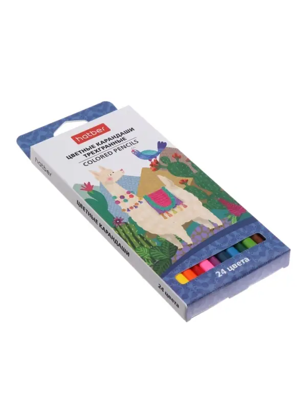 Карандаши 24цв, Hatber, заточ, трехгр,  коробка, европодвес 63840