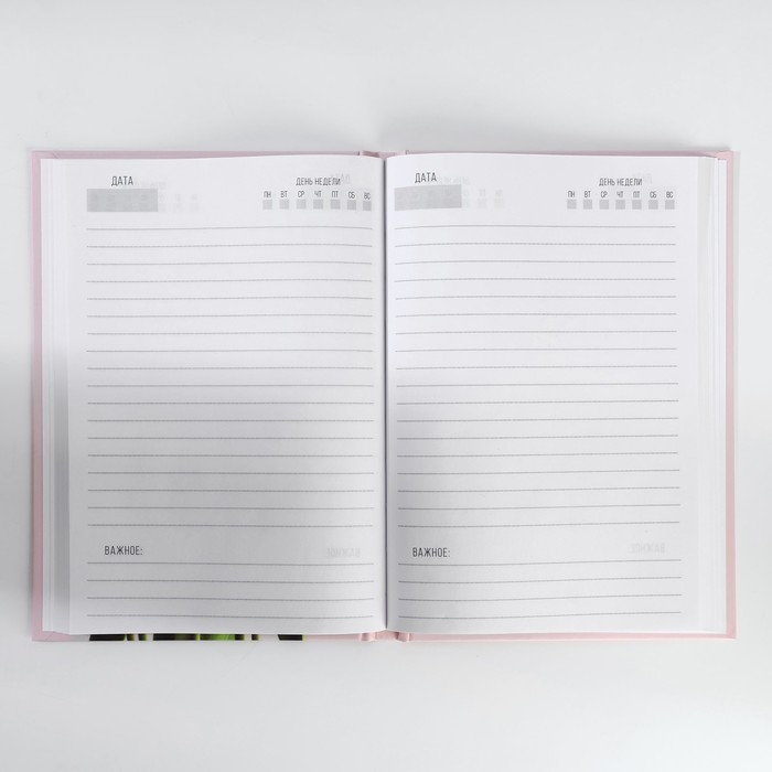 Подарочный набор: ежедневник А5, 80 листов и кружка «Пусть эта весна тебя вдохновляет» Подарочный набор: ежедневник А5, 80 листов и кружка «Пусть эта весна тебя вдохновляет»