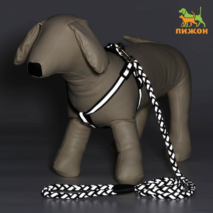 Комплект  Комплект "Плетенка", флуоресцентный, поводок 115 х 1 см, ОГ 32-48 х 1,5 см, чёрный