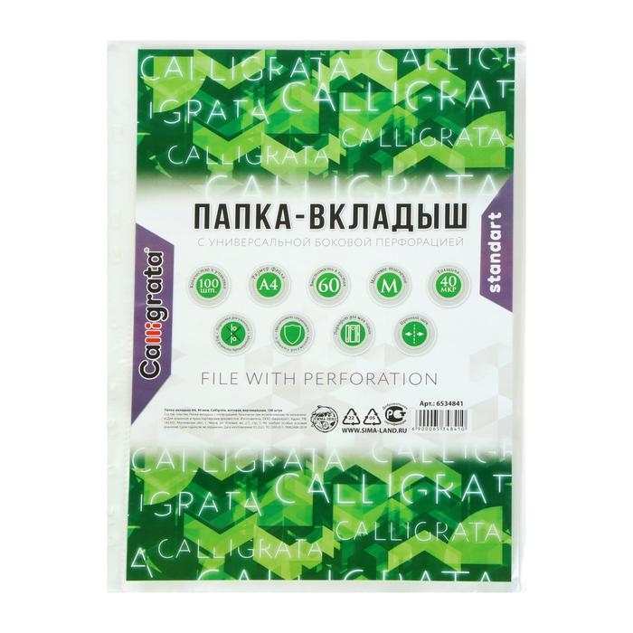 Файл-вкладыш А4, 40 мкм, Calligrata, матовый, вертикальный, 100 штук Файл-вкладыш А4, 40 мкм, Calligrata, матовый, вертикальный, 100 штук