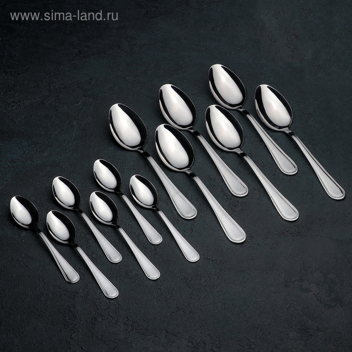 Набор столовых приборов « Рапсодия», 18 предметов, картонная коробка, цвет серебряный Набор столовых приборов « Рапсодия», 18 предметов, картонная коробка, цвет серебряный