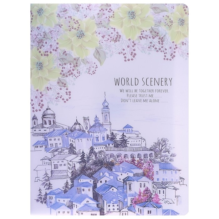 Папка А4, Папка А4, "Города" 30 прозрачных файлов, пластик, 400 мкм, МИКС