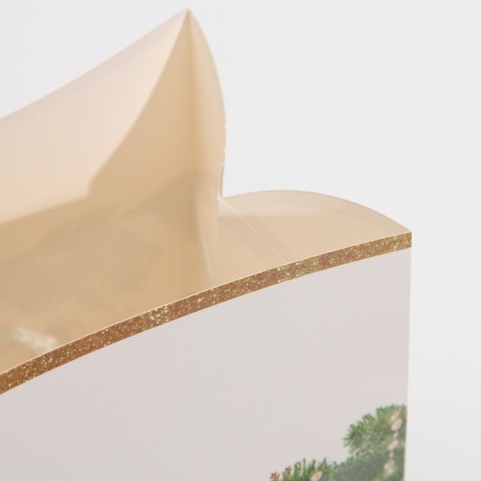 Пакет-коробка «Подарок для тебя», 23 х 18 х 11 см, Новый год Пакет-коробка «Подарок для тебя», 23 х 18 х 11 см, Новый год