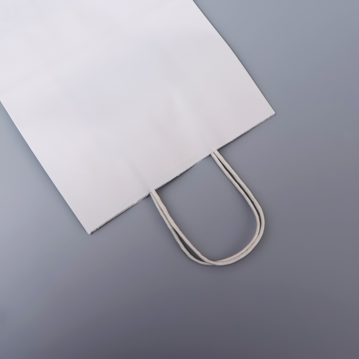 Пакет белый без печати, круглая ручка, 27 х 21 х 11 см, 120 г Пакет белый без печати, круглая ручка, 27 х 21 х 11 см, 120 г