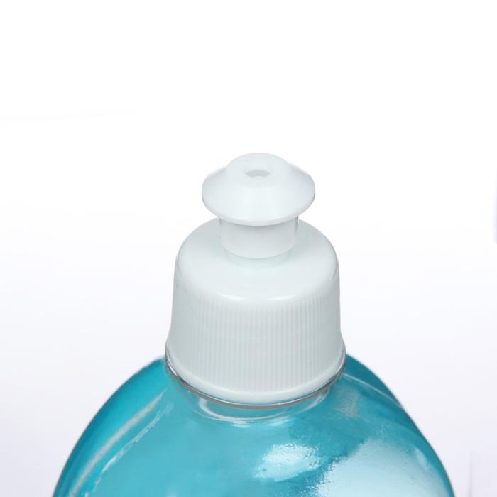 Ополаскиватель для посудомоечных машин Mister Dez Professional, 500 мл Ополаскиватель для посудомоечных машин Mister Dez Professional, 500 мл