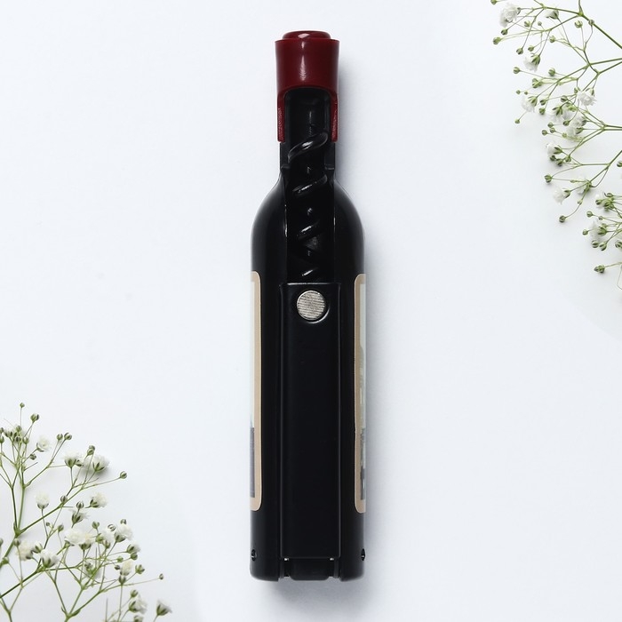 Магнит-открывашка «Санкт - Петербург», 2,5 х 11,8 х 2,5 см Магнит-открывашка «Санкт - Петербург», 2,5 х 11,8 х 2,5 см