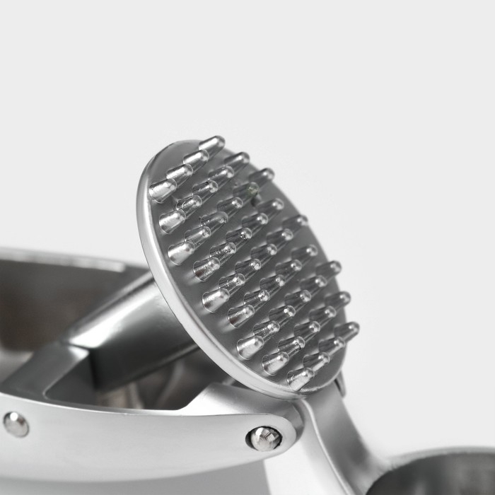 Пресс для чеснока Veil, цвет серый Пресс для чеснока Veil, цвет серый