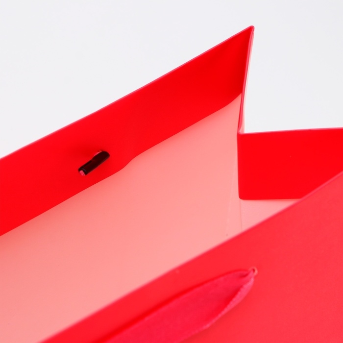 Пакет ламинированный горизонтальный «Фуксия», ML 27 × 23 × 11.5 см