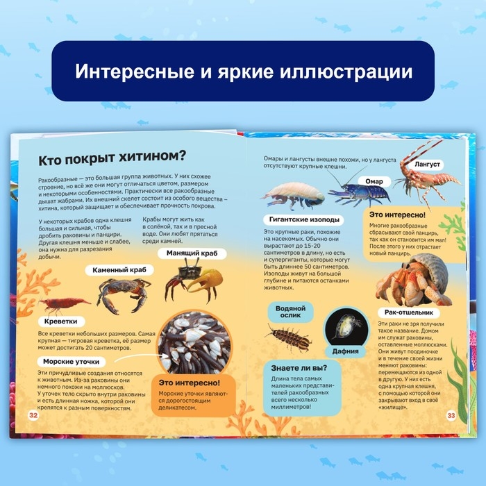 Энциклопедия в твёрдом переплёте «Подводный мир», 48 стр. Энциклопедия в твёрдом переплёте «Подводный мир», 48 стр.