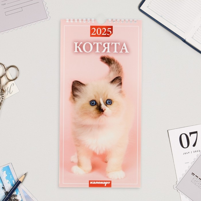 Календарь на ригеле Календарь на ригеле "Котята" 2025 год, 16,5 х 34 см