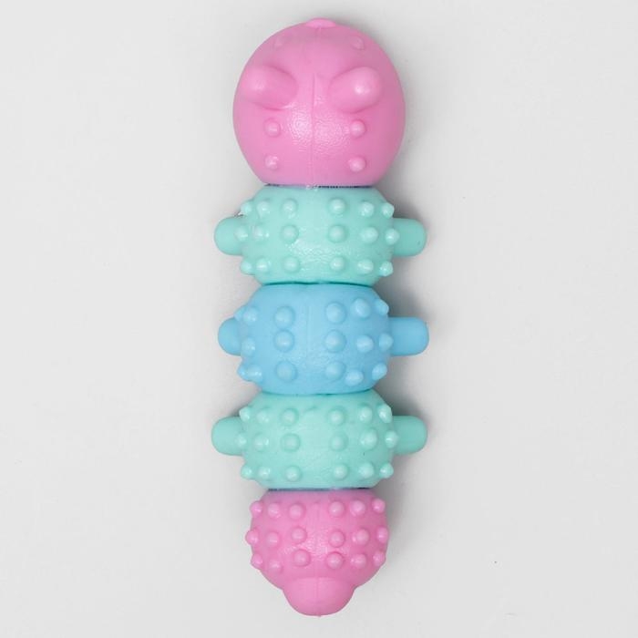 Игрушка жевательная Игрушка жевательная "Гусеница", TPR, 12,5 см, микс цветов