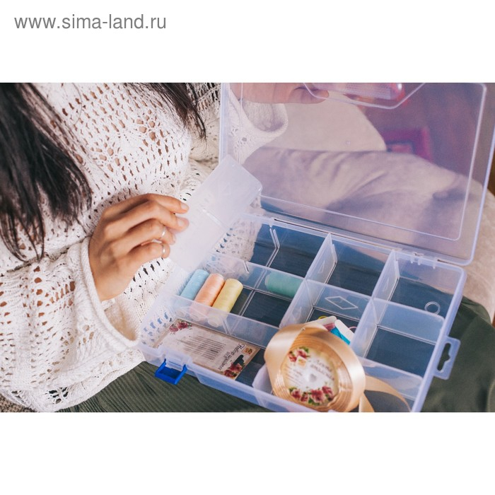 Органайзер для рукоделия, со съёмными ячейками, 10 отделений, 31 × 20,5 × 6 см, цвет прозрачный