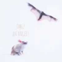 Футболка женская An Аngel, белая, размер S