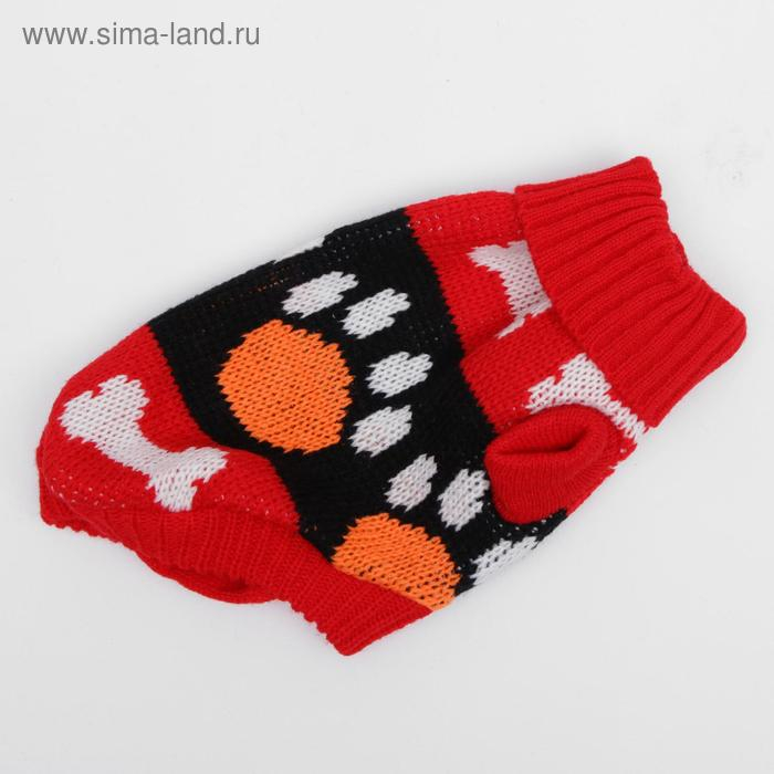 Свитер, размер 8 (26-30 см), микс расцветок Свитер, размер 8 (26-30 см), микс расцветок