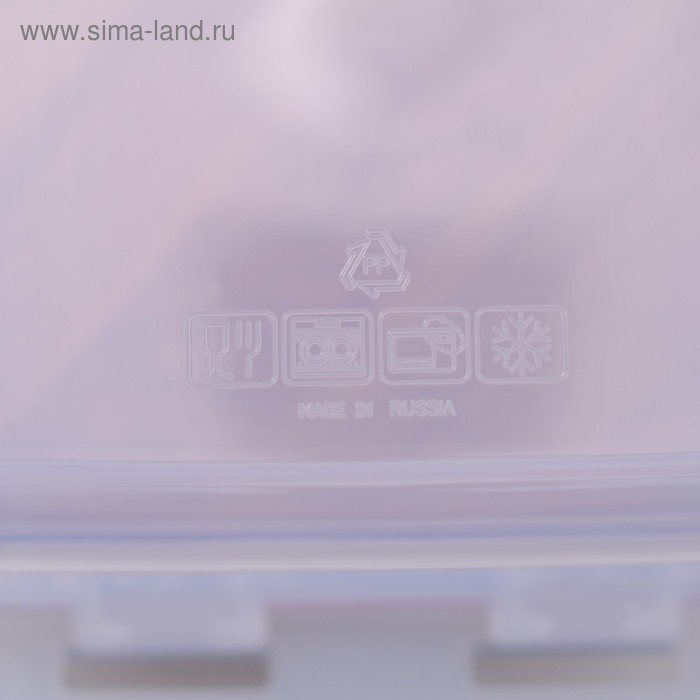 Контейнер пищевой 900 мл с герметичной крышкой , цвет МИКС Контейнер пищевой 900 мл с герметичной крышкой , цвет МИКС