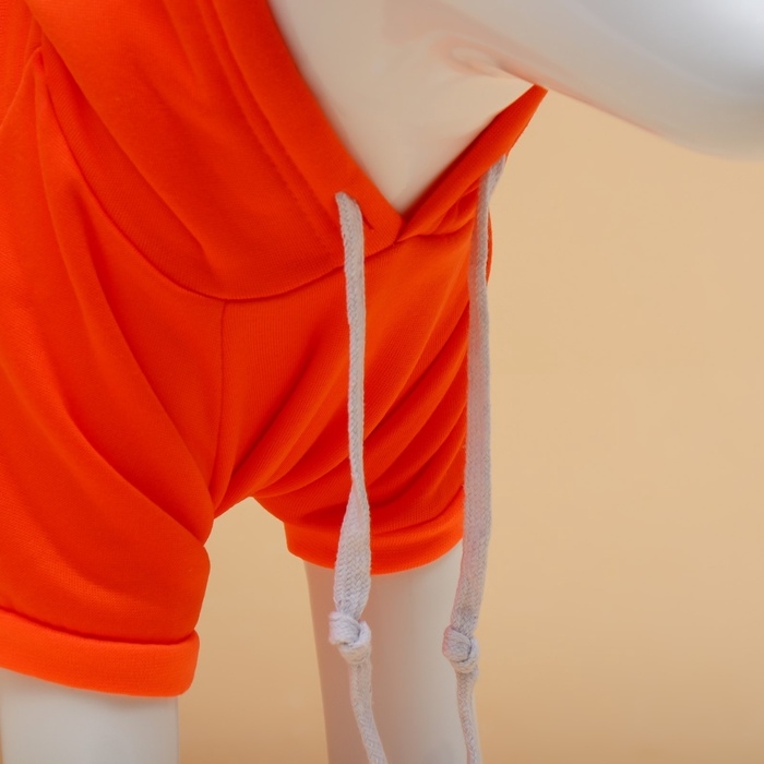 Толстовка Толстовка "Любимая морковка", размер XL (ДС 40, ОГ 56 см)