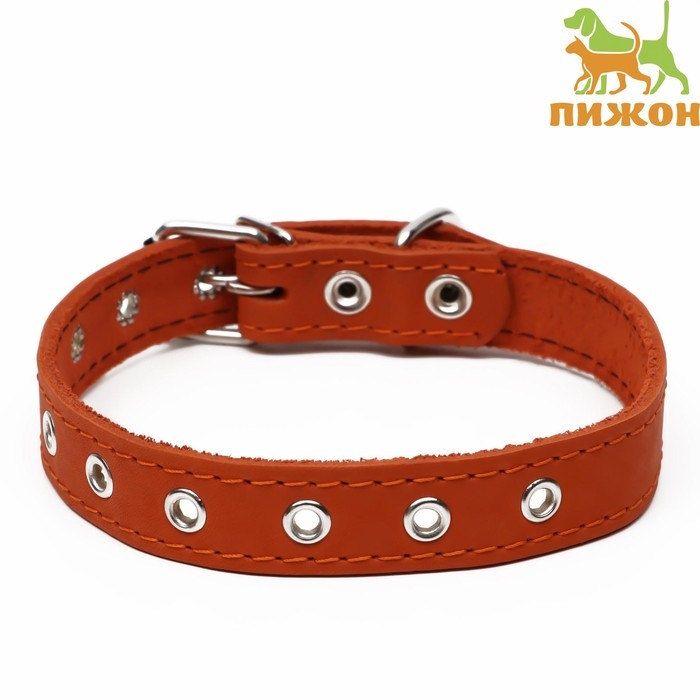 Ошейник кожаный однослойный, безразмерный, 56 х 2,5 см, ОШ  17-44 см, оранжевый Ошейник кожаный однослойный, безразмерный, 56 х 2,5 см, ОШ  17-44 см, оранжевый