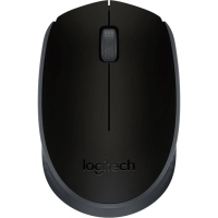 Мышь компьютерная Logitech USB OPTICAL WRL M171 BLACK