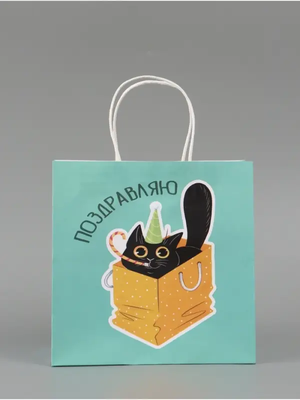 Пакет подарочный &laquo;Поздравляю&raquo;, 22 х 22 х 11 см