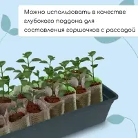 Ящик для рассады, 50&times;15&times;10 см, 5 л, пластик, чёрный, &laquo;Садовита 6&raquo;