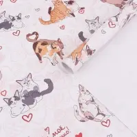 Бумага упаковочная глянцевая &laquo;Ты мое солнышко&raquo;, 60&times;90 см,