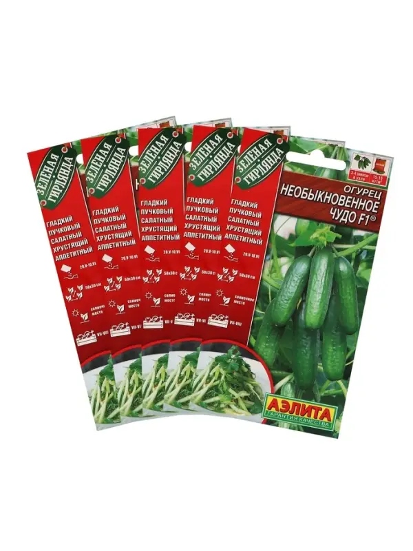 Семена Огурец &laquo;Необыкновенное чудо&raquo; F1, раннеспелый, партенокарпический, набор 5 шт., &laquo;Мой выбор&raquo;
