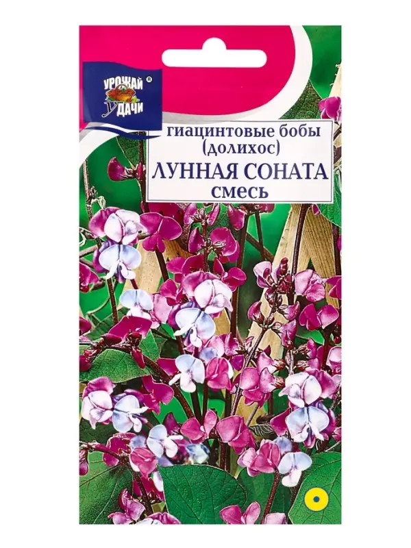 Семена цветов Бобы Гиацинтовые (Долихос) ЛУННАЯ СОНАТА Смесь 1 г.