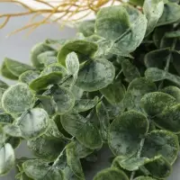 Цветы искусственные «Эвкалипт цинерия галант», h=51 см, зелёные Цветы искусственные «Эвкалипт цинерия галант», h=51 см, зелёные