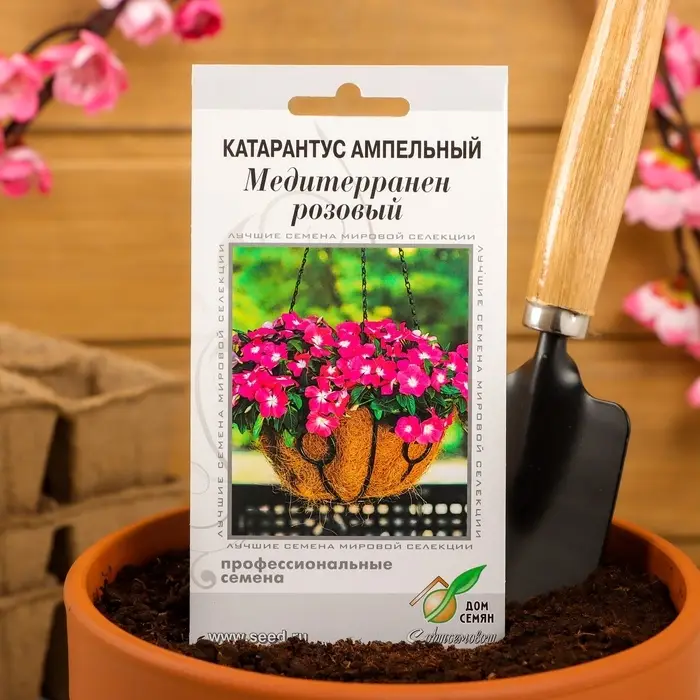 Семена цветов Катарантус ампельный &laquo;Медитерранен розовый&raquo;, 5 шт.