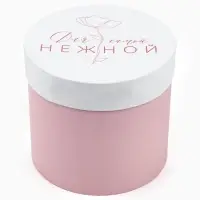 Набор подарочных коробок, упаковка, 5 в 1 &laquo;Нежность&raquo;, 14&times;13 ‒22&times;19.5 см