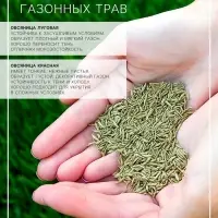Газонная травосмесь &laquo;Северная&raquo;, 20 кг