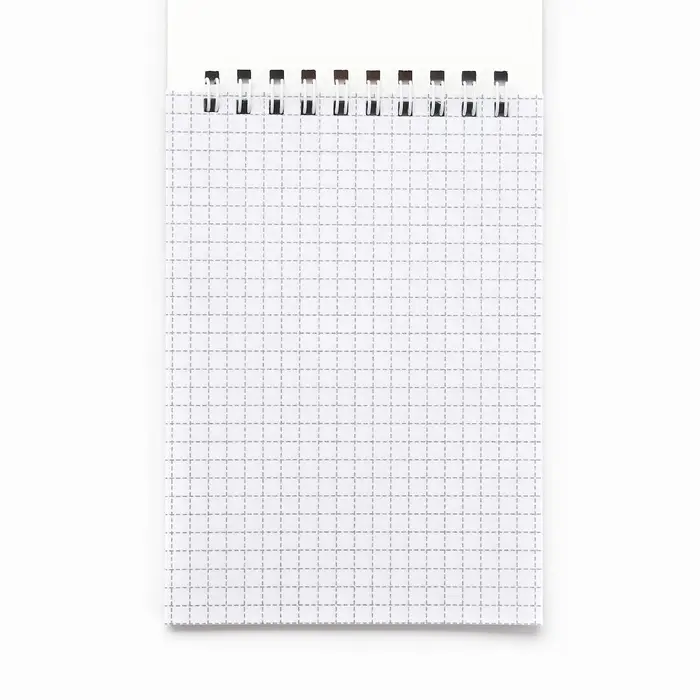 Блокнот А6, 40 л на гребне, мягкая обложка &laquo;Капибара&raquo;