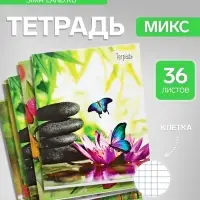 Тетрадь 36 листов в клетку Calligrata &laquo;Бабочки&raquo;, серые листы, МИКС